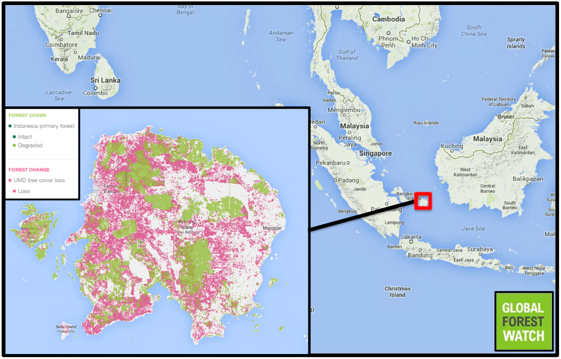 According to Global Forest Watch, Belitung Island lost approximately 88,000 hectares of forest from 2001-2013, representing about 10 percent of its land area.Courtesy of Global Forest Watch.