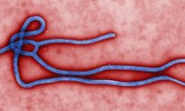 An Ebola Vaccine Is Not the Answer