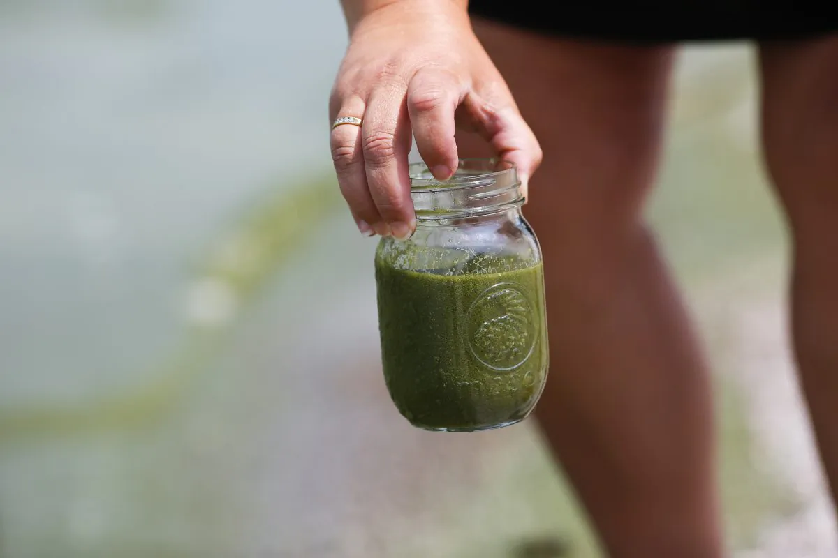 Carol Snyder of Northwood, Ohio holds up a jar with water collected from Lake Erie at Maumee Bay State Park August 4, 2014 in Oregon, Ohio. Toledo, Ohio area residents were once again able to drink tap water after a two day ban due to algae related toxins. (Photo by Aaron P. Bernstein/Getty Images)
