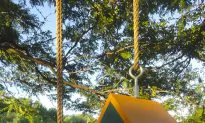 DIY Bird Feeder Pad