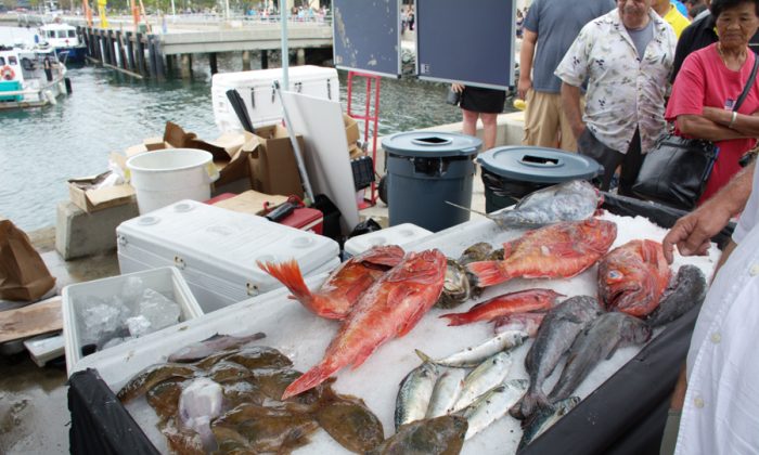 San Diego Dockside Fish Market Attracts Hundreds On First Day The   San Diego Fish Market 2 700x420 