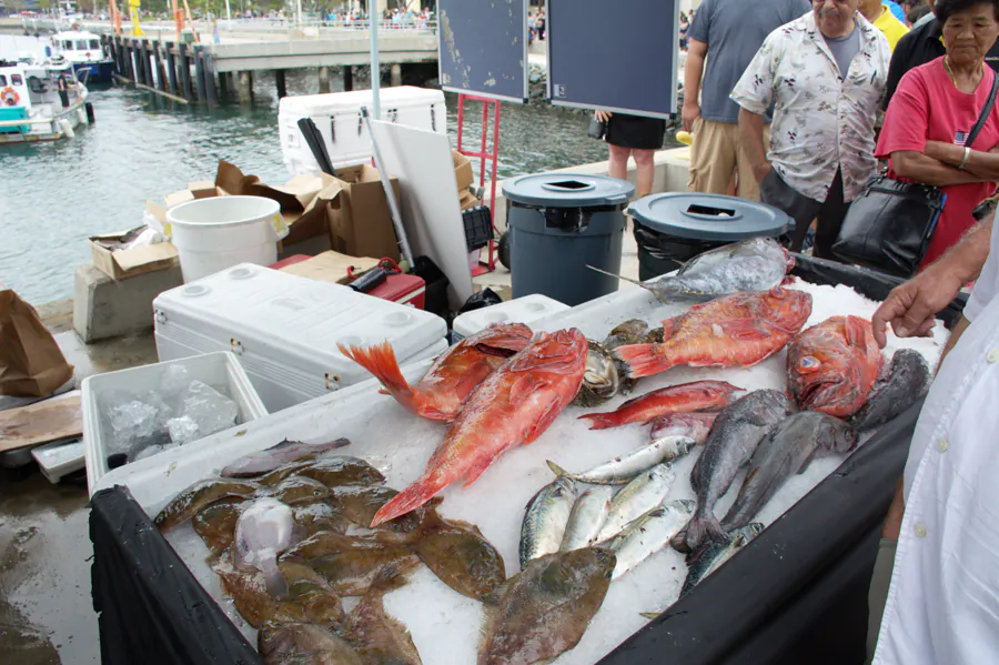 Some selections of fresh fish at the Tuna Harbor Dockside Market, San Diego, Calif., on Aug. 2. (Jane Yang/Epoch Times)