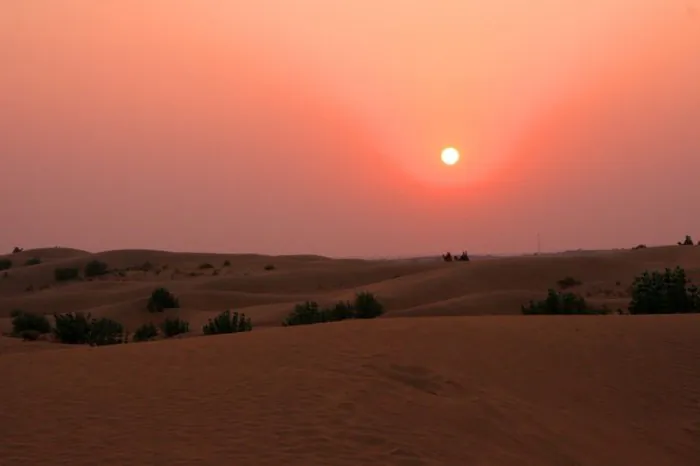 Sunset in Thar Desert in Rajasthan, India (Vagabond Journey Travel)