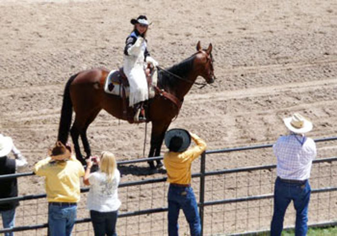 Hello Miss Frontier! (Go Nomad)