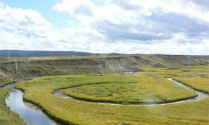 Wyoming: Viewing Wolves in Yellowstone National Park 