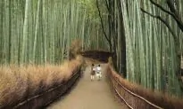 Top 10 Travel Attractions of Kyoto, Japan (Video)