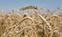 6 Signs You Might Have Gluten Sensitivity and Not Know it