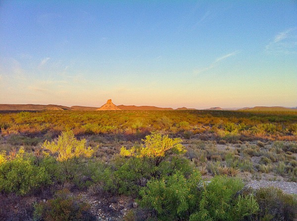 View of the Chihuahuan Desert (Traveling Ted)