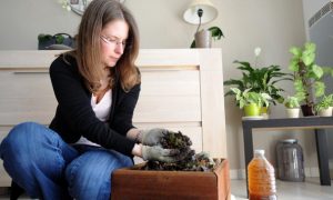 Brewing Compost Tea for Your Garden