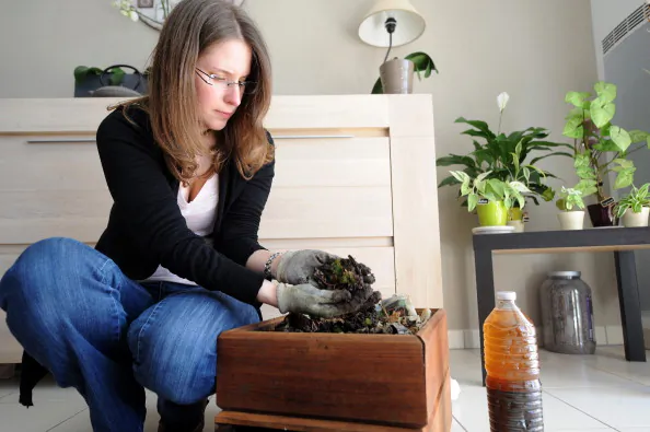 Brewing Compost Tea for Your Garden