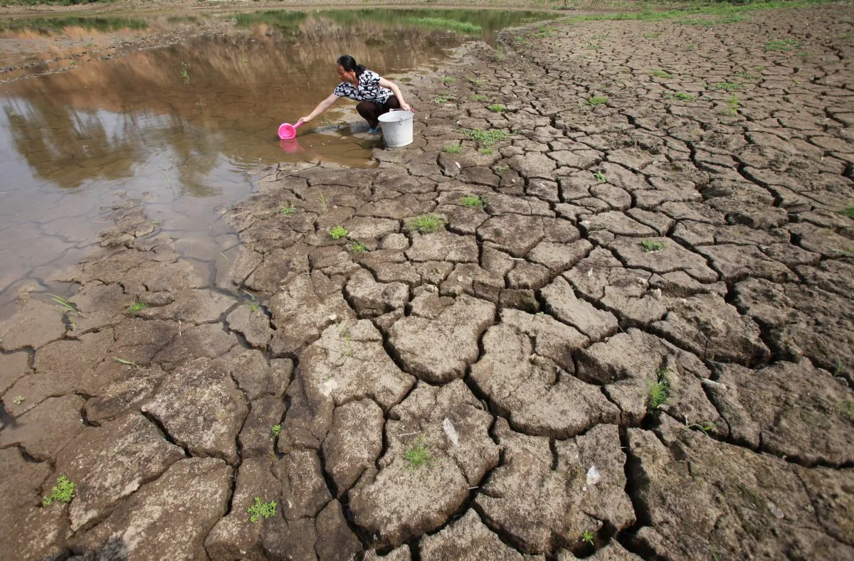 A villager gathers water at a dried-up riverbed, in the Guangxi region of China in May 2012. (ChinaFotoPress/Getty Images)