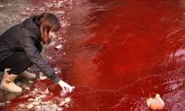 China’s Environmental Catastrophe