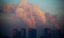 Fine Particulate Air Pollution Linked With Increased Autism Risk
