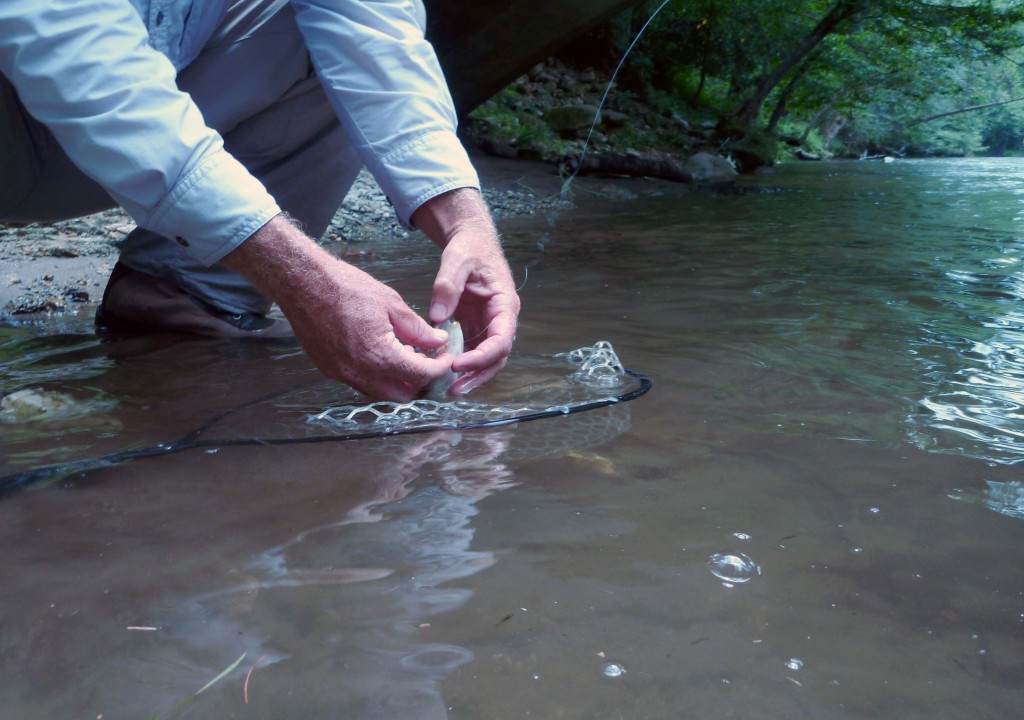 Fishing in Great Smoky Mountains (BesuDesu Abroad)
