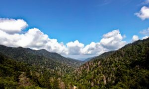Top Things to Do in the Smoky Mountains