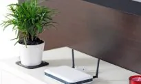 Plants Won’t Grow Near Wi-Fi Routers, Experiment Finds