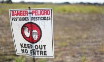 7 Ways GMOs are Destroying Humanity and the Planet