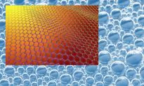 Graphene Hybrid Foam Bounces Back