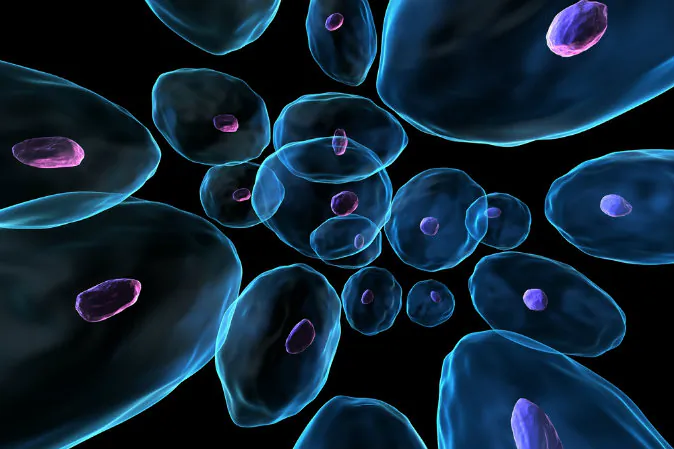 Concept image of human cells. (Shutterstock*)