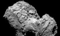 Rosetta Will Teach Us More About Comets Than We Have Learned in 50 Years