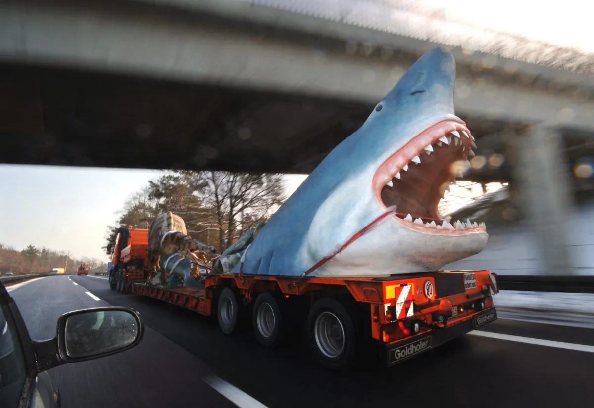 A truck in Germany transports a life-size model of a megalodon shark on March 7, 2006. (Sven Kaestner/AP Photo)