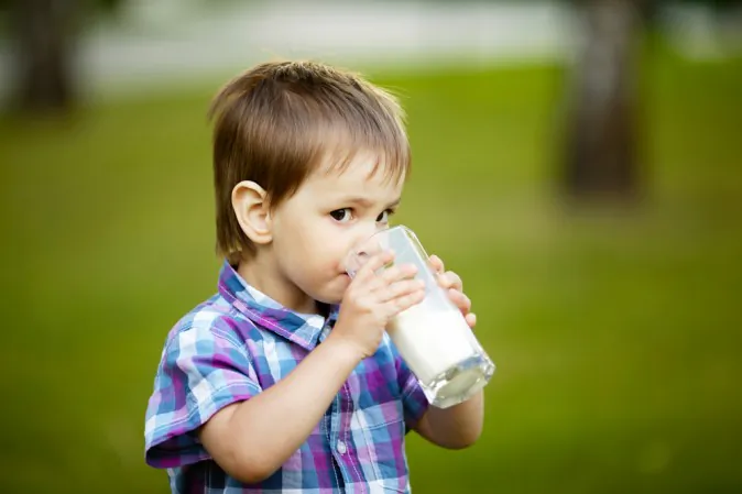 Children consume more milk than adults, and in the U.S. many dairy cows are given the genetically engineered bovine growth hormone (rbGH) and fed diets of GMO grains (corn and soy).(Shutterstock*)