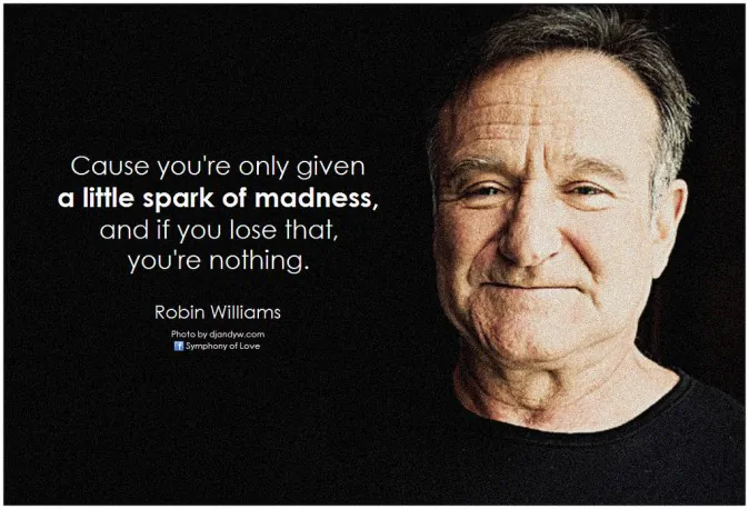 Robin Williams (1951-2014) (BK, CC BY-SA 2.0)