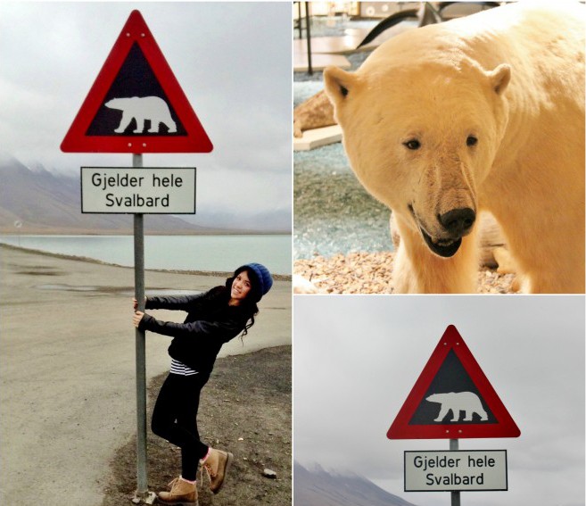 Longyearbyen (The Culture Map)