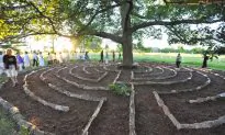 An Artistic Touch for the Summer Months
