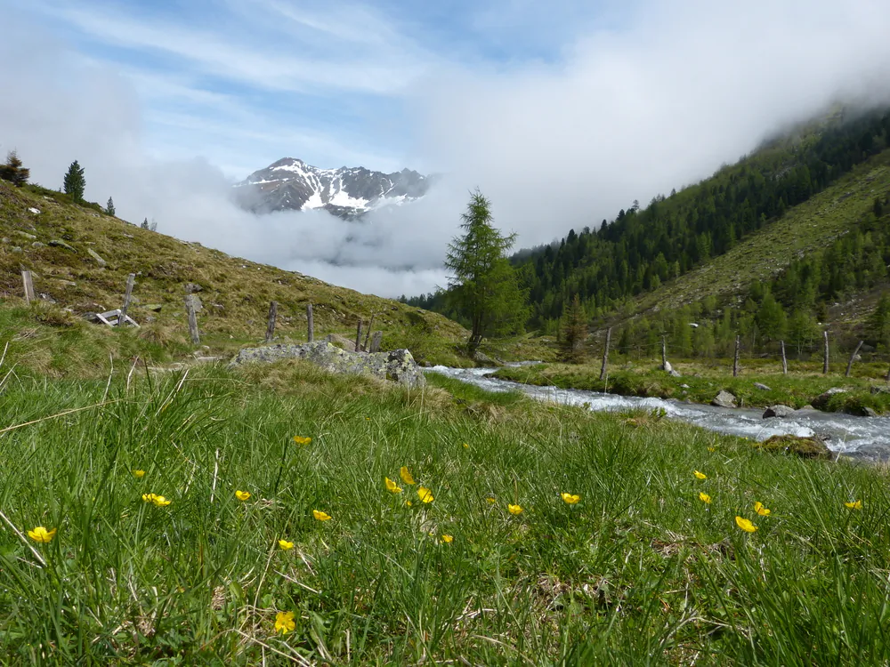 Brook in the mountains of the Tyrolean Alps. (*Shutterstock)