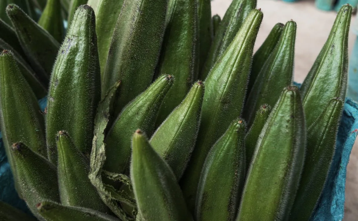 Keep Your Accent Already