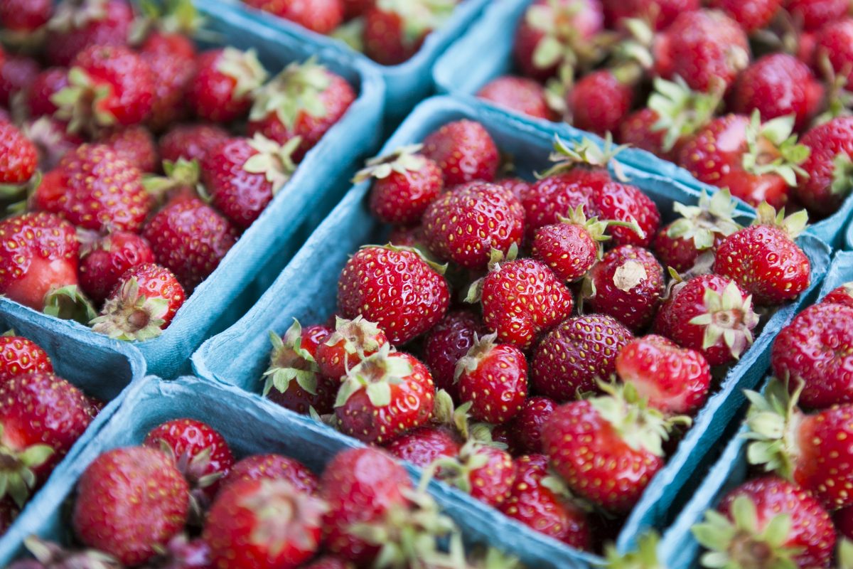 The jewel-like strawberries from Berried Treasures Farm. (Samira Bouaou/Epoch Times)
