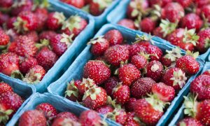 Sweet and Succulent Summer Fruits, the Glory of the Season