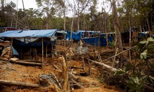 Indonesia Continues Mining with Few Regulations