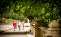 A Rare Complaint of Over-Maintenance in NYC Parks