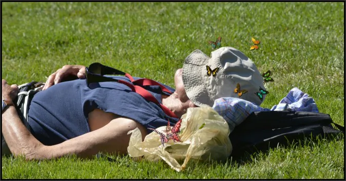Naps are Good! 12 Tips to Get the Best Nap