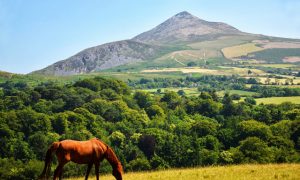 Powerscourt Gardens, Enniskerry, Ireland 