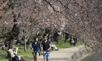 Tracing the Bones of a Healthy City