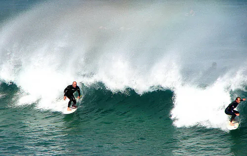 5 Things to Do in Sydney for the Adventurous