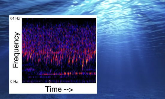 A Strange Sound Has Permeated the Pacific Ocean Since 1991 … Source Unknown (Listen Here)