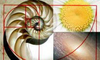 The Golden Ratio—A Sacred Number That Links the Past to the Present