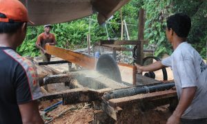 DNA Fingerprinting for Forest Conservation