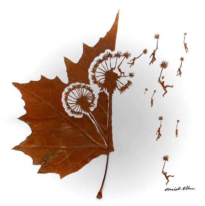 "Dandelion" (Omid Asadi)