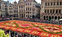 Flower Power: Seeing the Flower Carpet in Brussels