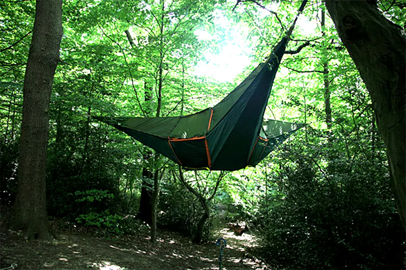 Sleeping on the trees