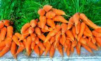 5 Ways Families on Real Budgets Can Afford Organic Food