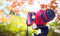 MaxStone Simplifies Camera Experience for Everybody
