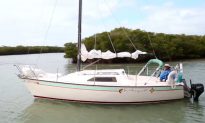 Discovering Caladesi Island in Florida (Video)