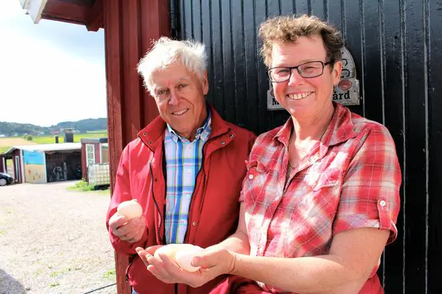 Odd Lindahl and Maria Karlsson, holding "mussel eggs" at Mällby farm on the Island of Orust at the Swedish west coast, August 21, 2014.