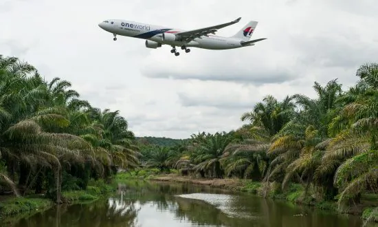 Fisherman Makes Surprising Revelation Nearly 10 Years After Malaysia Airlines Plane Disappeared